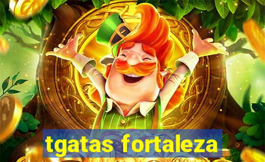 tgatas fortaleza